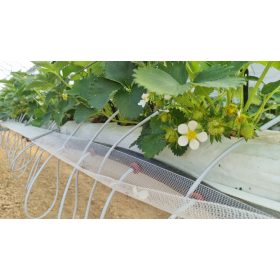   PE20/6-s cső 33cm-enként beépített PCJ 60cm-es csepegtető egységgel /m